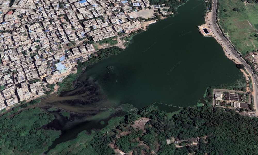 Lake_Cleaning